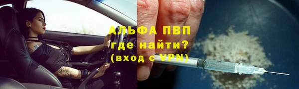 гашик Абаза